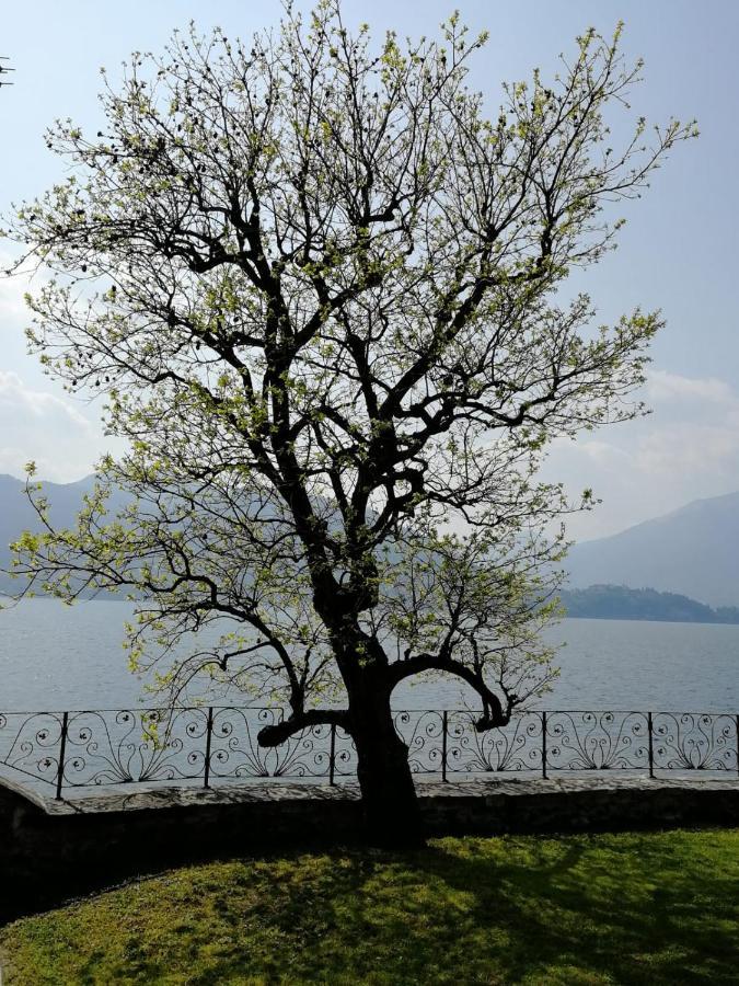 L'Antico Borgo, Un Mix Di Storia E Romanticismo Villa Lierna Ngoại thất bức ảnh